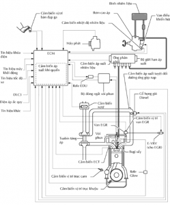 Sơ đồ mạch điện và cách kiểm tra một số cảm biến quan trọng của hệ thống phun dầu động cơ 2KD-FTV