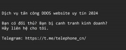 DỊCH VỤ DDOS WEBSITE 2024